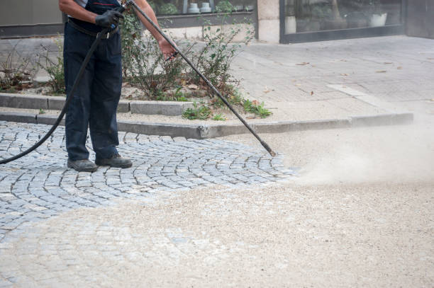 Best Fence Cleaning  in Shadow Lake, WA